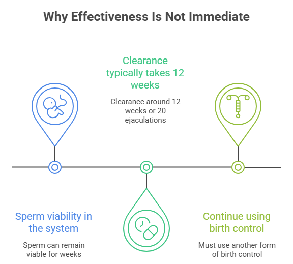 An infographic explaining how effective a vasectomy is timeline-wise. It shows that sperm remains viable for weeks, requiring 12 weeks or 20 ejaculations to clear, and advises using alternative birth control in the meantime.